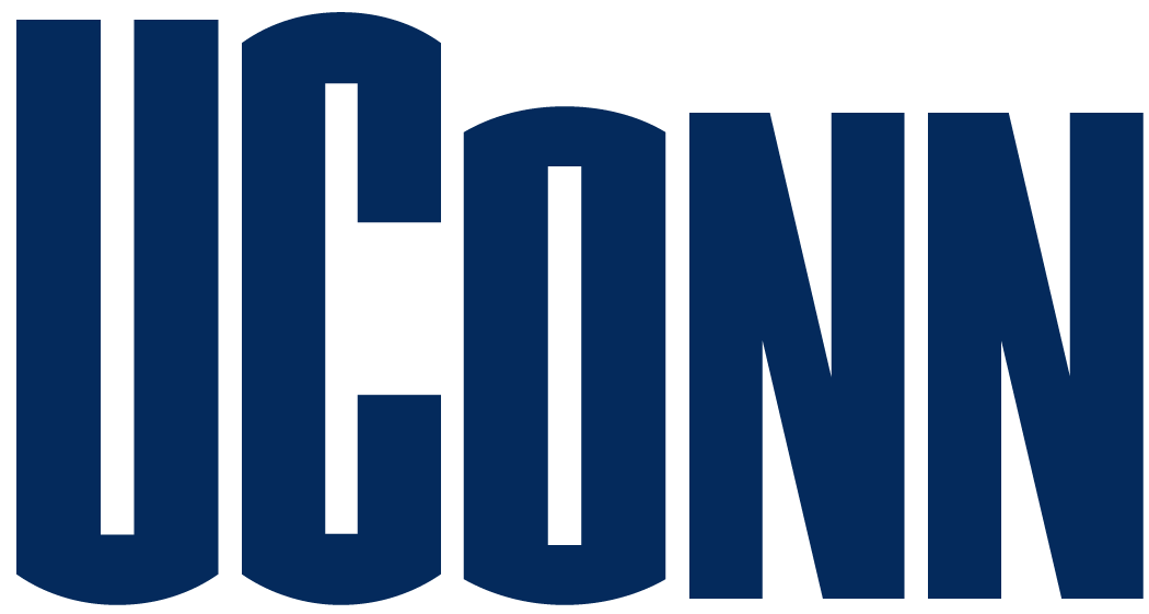UConn Huskies 1996-2012 Wordmark Logo diy iron on heat transfer